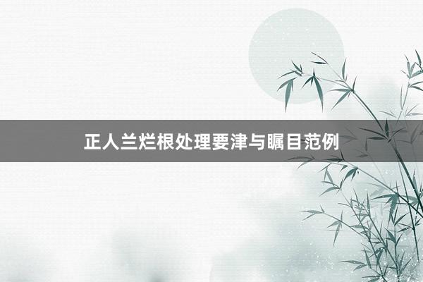 正人兰烂根处理要津与瞩目范例