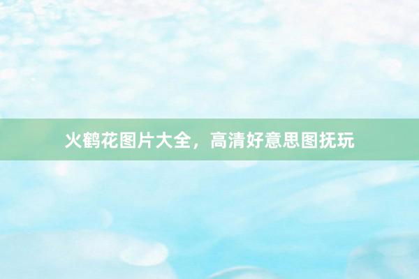 火鹤花图片大全，高清好意思图抚玩